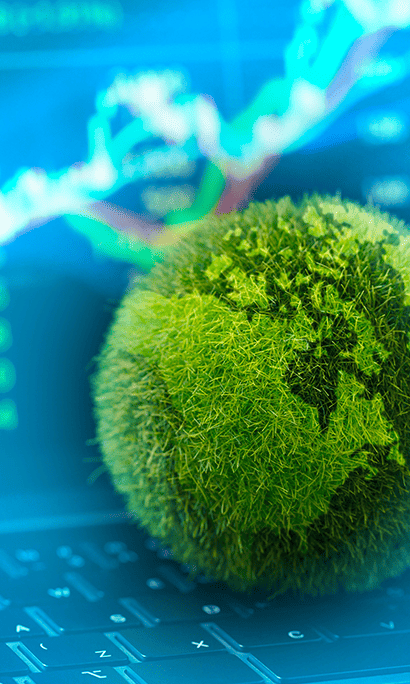 Une boule faite de mousse et d'herbes posée sur un clavier, l'écran est en fond.